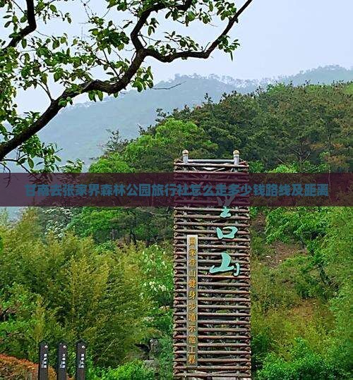 甘南去张家界森林公园旅行社