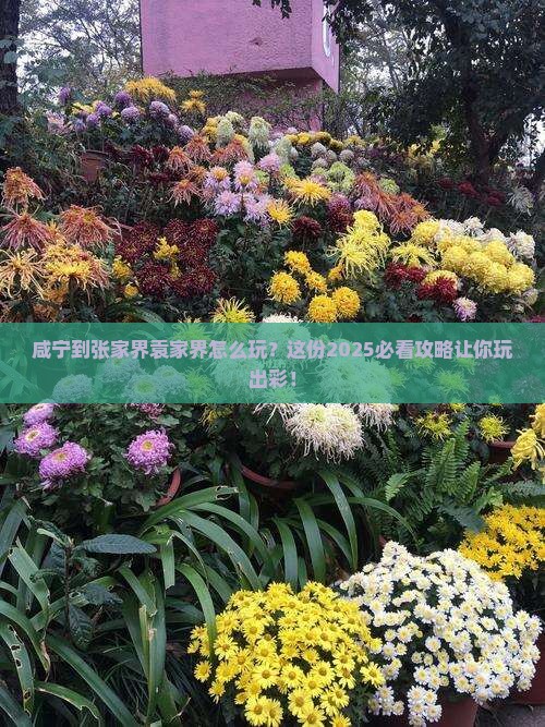 咸宁到张家界袁家界哪里玩