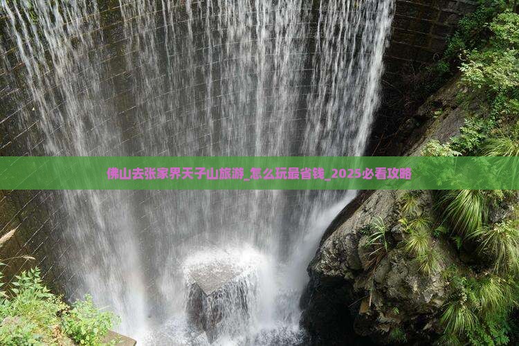 佛山去张家界天子山旅游