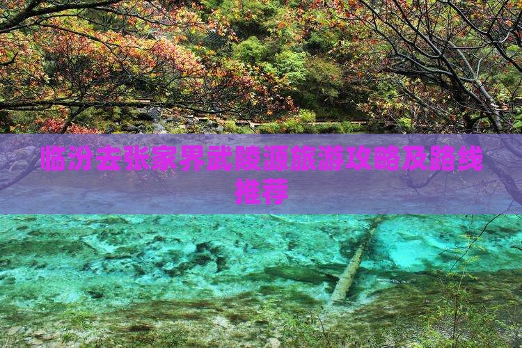 临汾去张家界武陵源旅游
