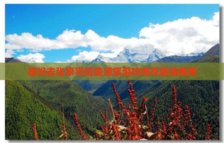 临汾去张家界武陵源旅游