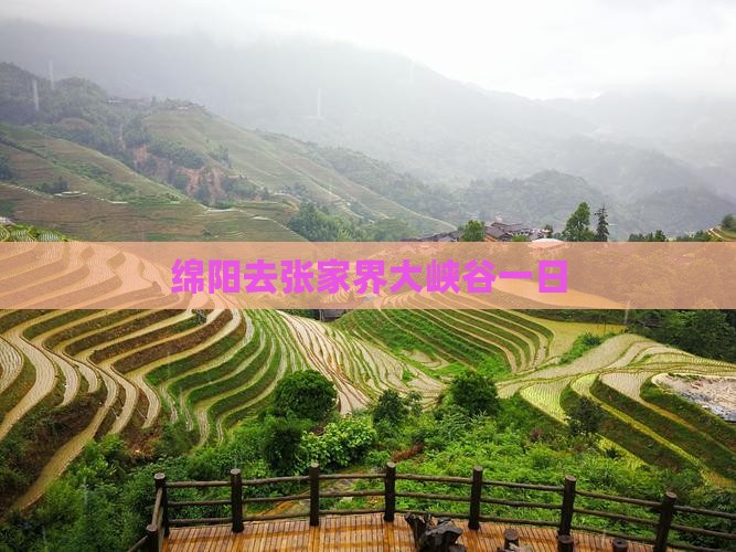 绵阳去张家界大峡谷一日