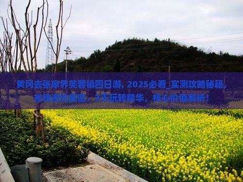 黄冈去张家界芙蓉镇四日游