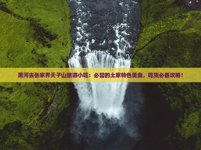 黑河去张家界天子山旅游小吃