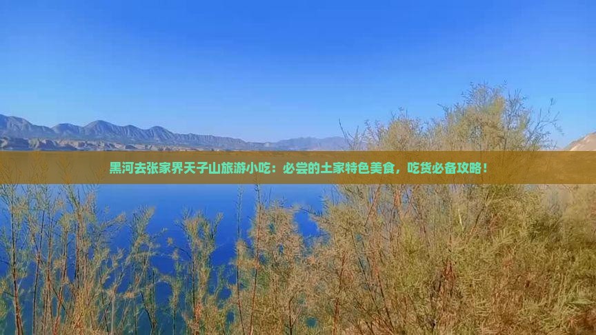 黑河去张家界天子山旅游小吃