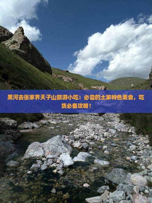 黑河去张家界天子山旅游小吃