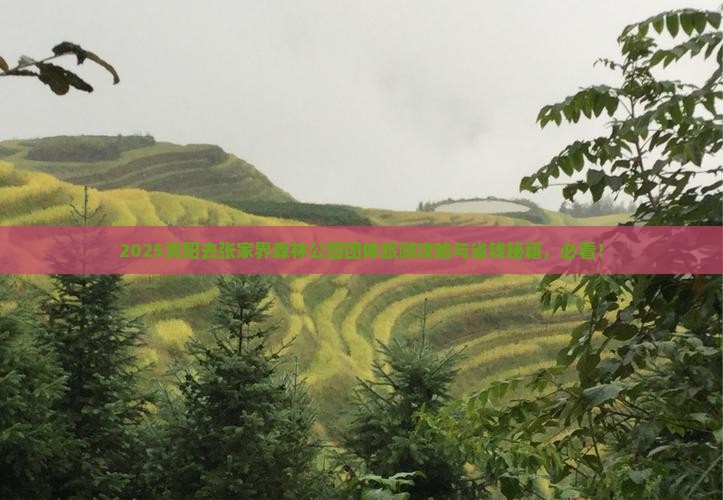 资阳去张家界森林公园团体旅游
