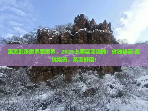 莱芜到张家界袁家界个人游