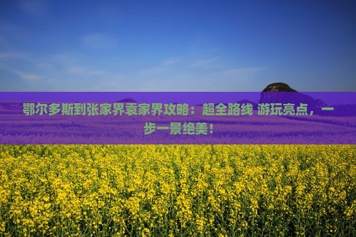 鄂尔多斯到张家界袁家界攻略