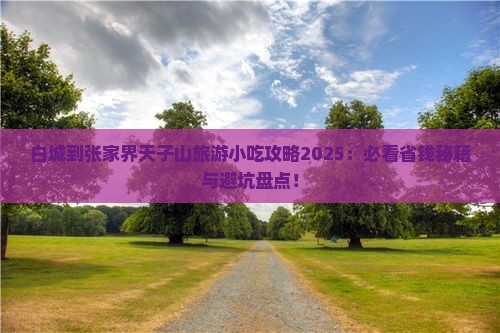 白城到张家界天子山旅游小吃