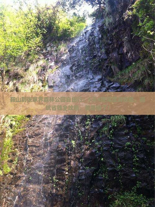 鞍山到张家界森林公园自由行