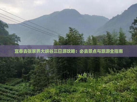宜春去张家界大峡谷三日游