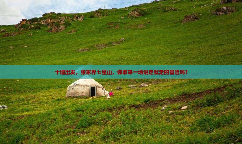十堰到张家界七星山团体旅游