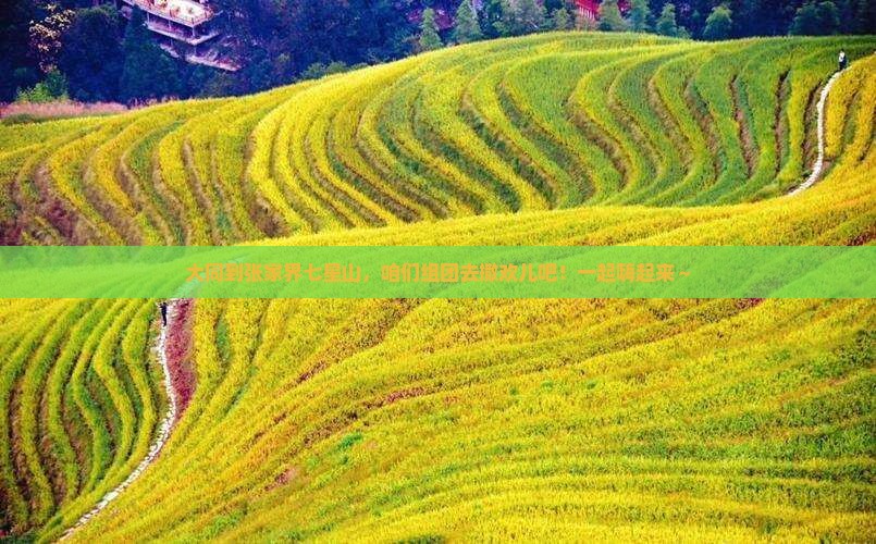 大同到张家界七星山大型旅游团