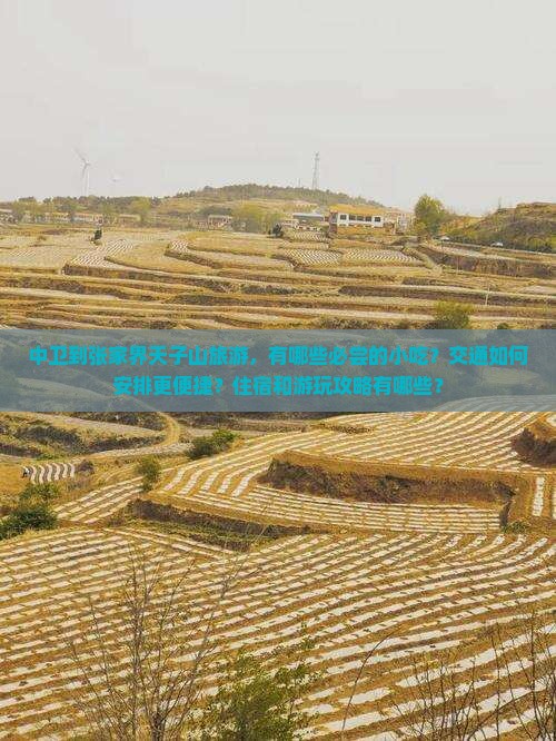 中卫到张家界天子山旅游小吃