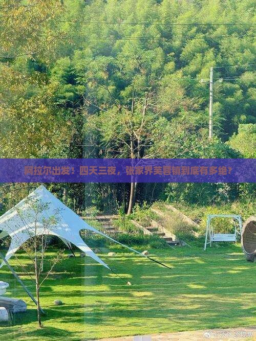 阿拉尔到张家界芙蓉镇四日游