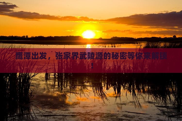 鹰潭到张家界武陵源攻略