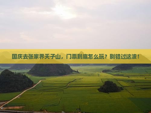 国庆节到张家界天子山门票