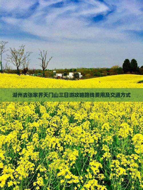 湖州去张家界天门山三日游