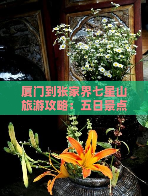 厦门到张家界七星山五日游