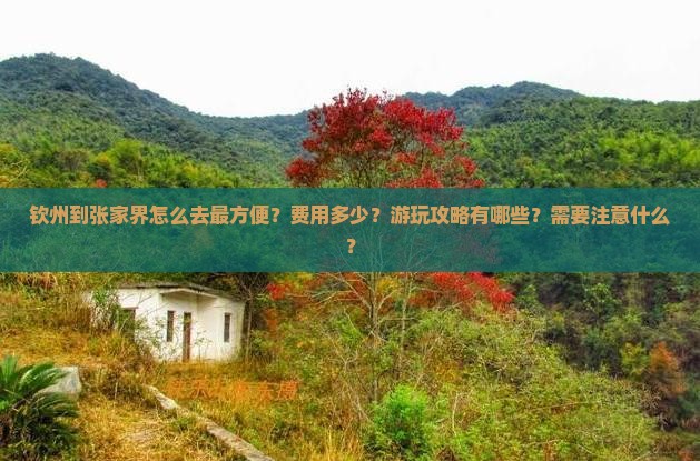 钦州到张家界攻略