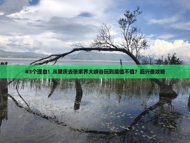肇庆到张家界大峡谷必去地
