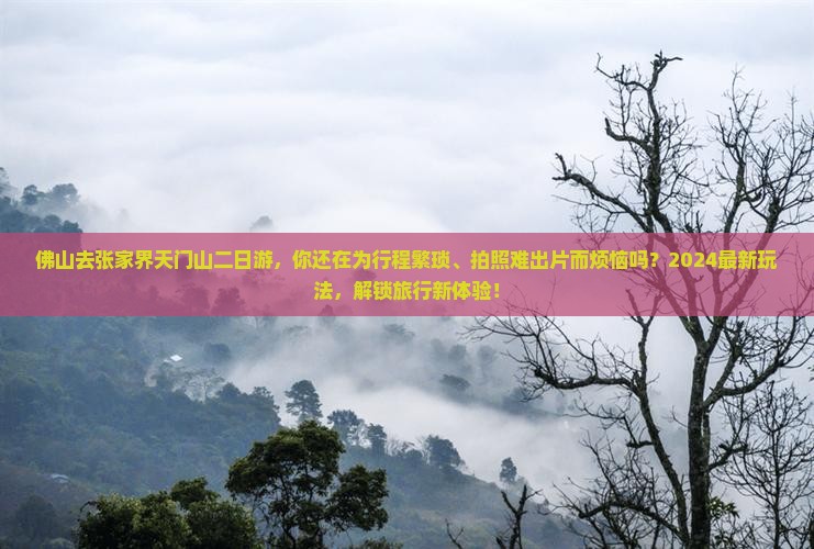 佛山去张家界天门山二日游
