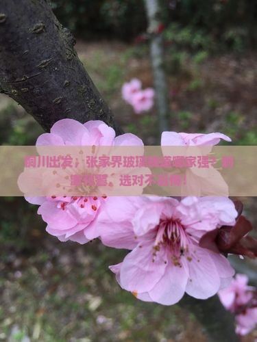 铜川到张家界玻璃栈道哪里玩