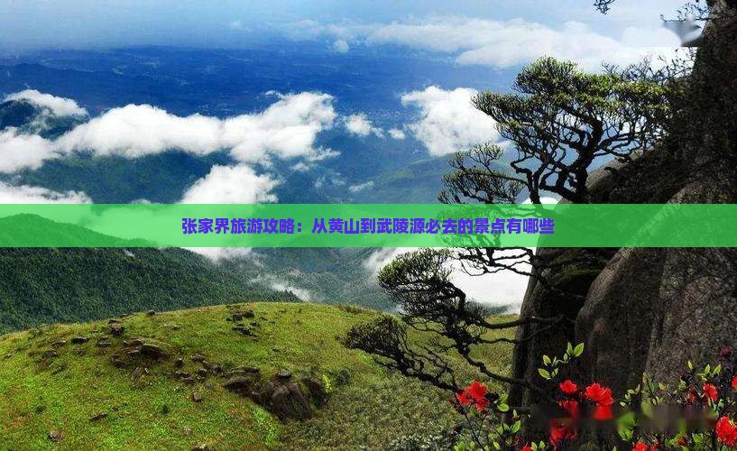 黄山到张家界武陵源必去地