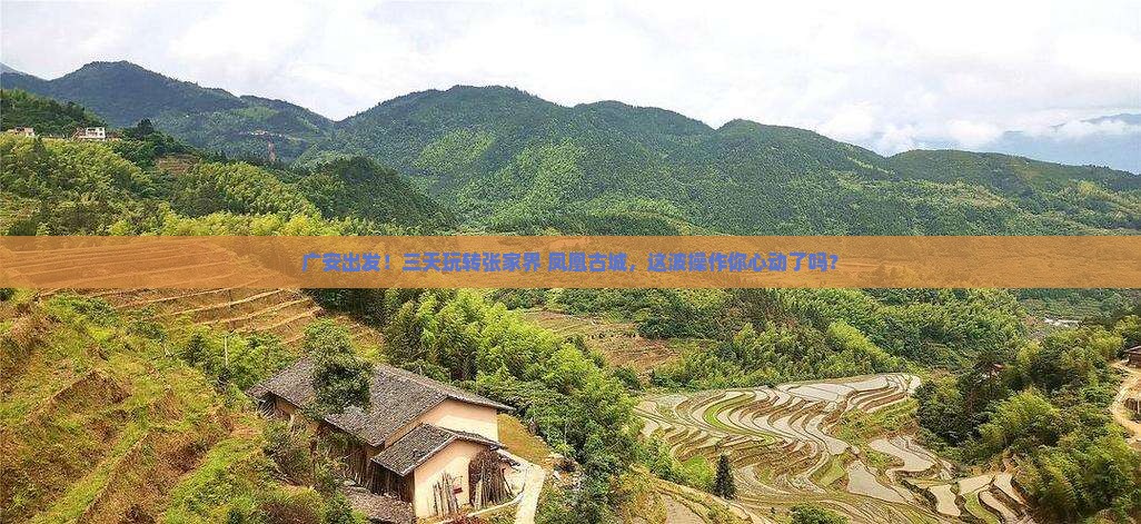 广安到张家界凤凰古城三日游 广安到张家界凤凰古城三日游