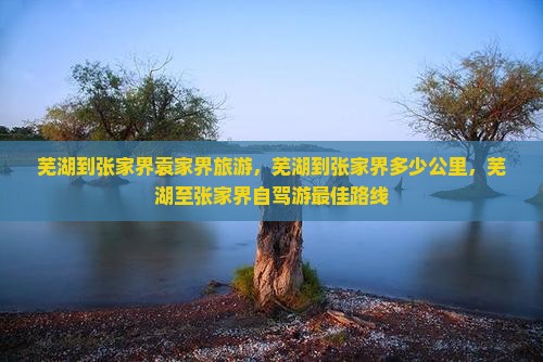 芜湖到张家界袁家界旅游