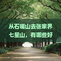 石嘴山到张家界七星山哪里玩