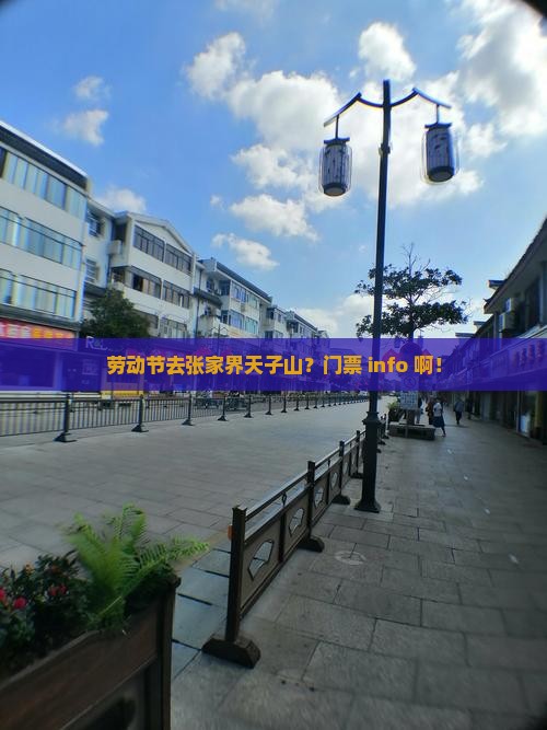 劳动节到张家界天子山门票