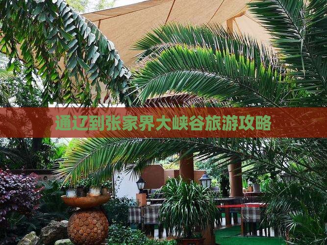 通辽市到张家界大峡谷攻略