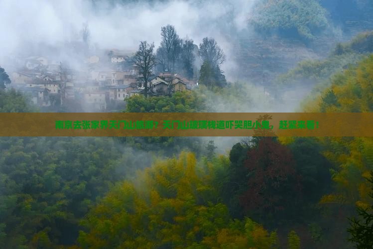 南京去张家界天门山旅游 南京去张家界天门山旅游