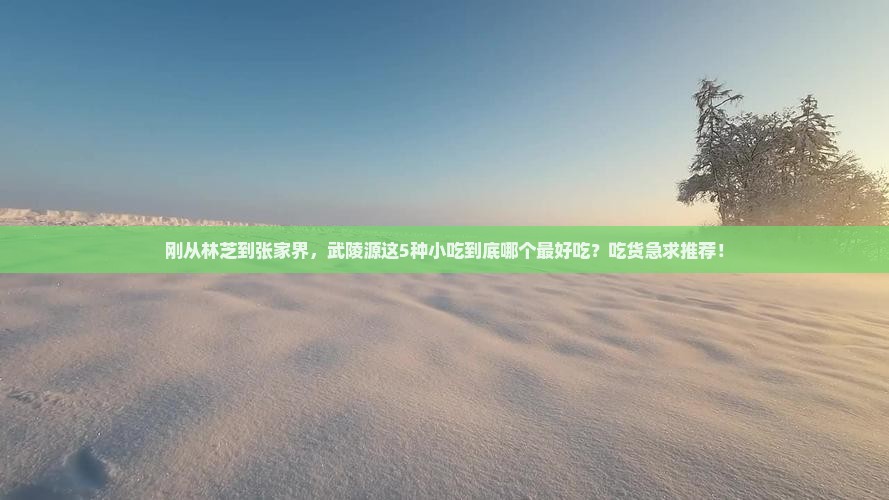 林芝到张家界武陵源旅游小吃