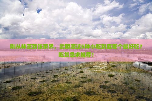 林芝到张家界武陵源旅游小吃