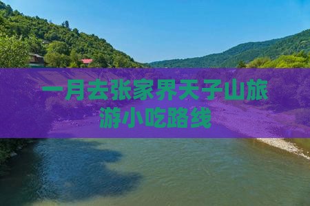 一月去张家界天子山旅游小吃