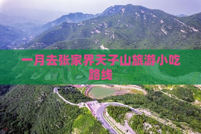 一月去张家界天子山旅游小吃