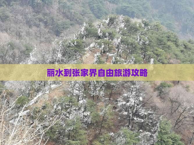 丽水到张家界自由团