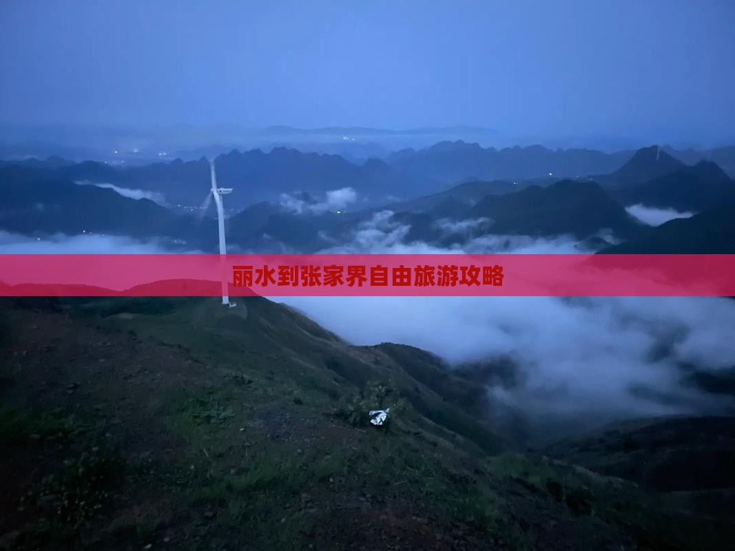 丽水到张家界自由团