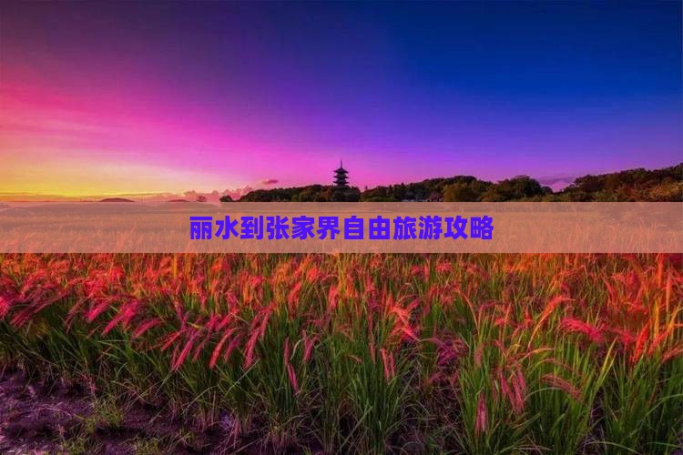 丽水到张家界自由团