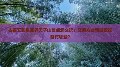 泰安去张家界天子山景点