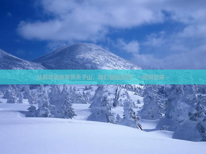 廊坊到张家界天子山团体旅游