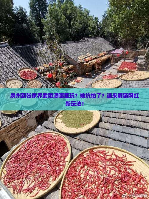 泉州到张家界武陵源哪里玩