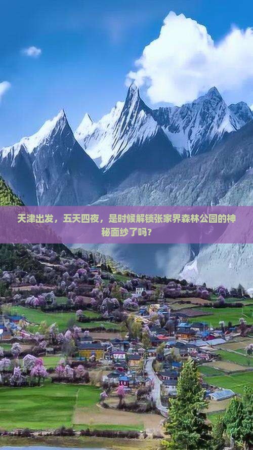 天津去张家界森林公园五日游