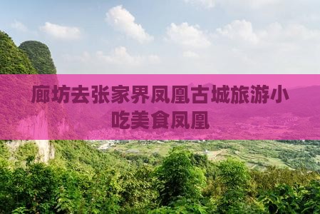 廊坊去张家界凤凰古城旅游小吃