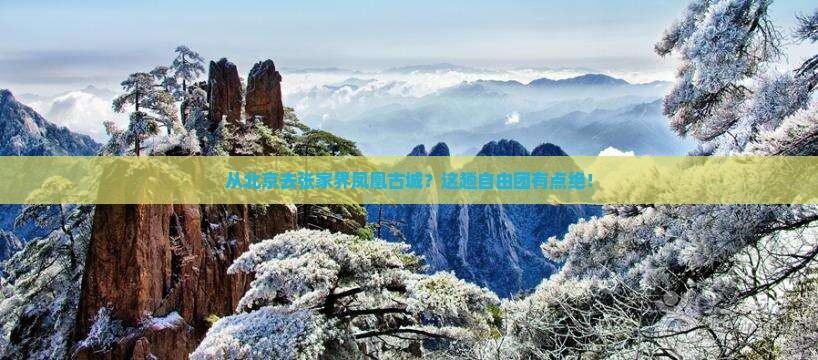 北京到张家界凤凰古城自由团
