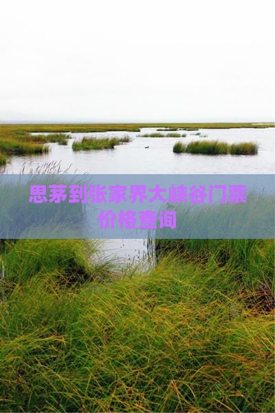 思茅到张家界大峡谷门票