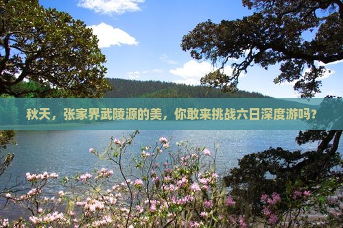 秋天去张家界武陵源六日游